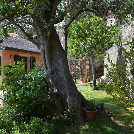 Ca Da Munta Bed And Breakfast Arenzano Exterior foto